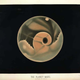 Image: From the New York Public Library